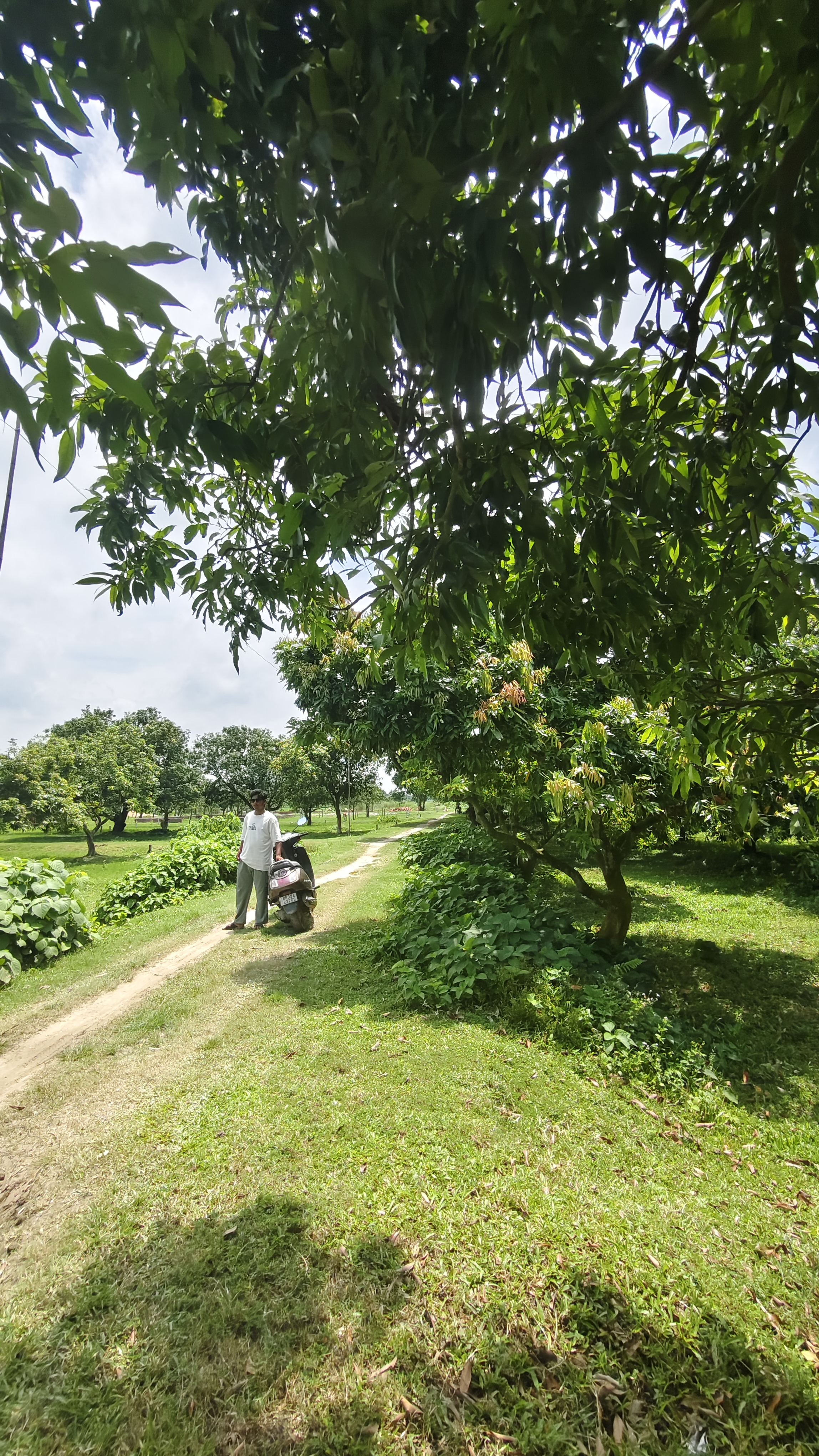 Plot Image