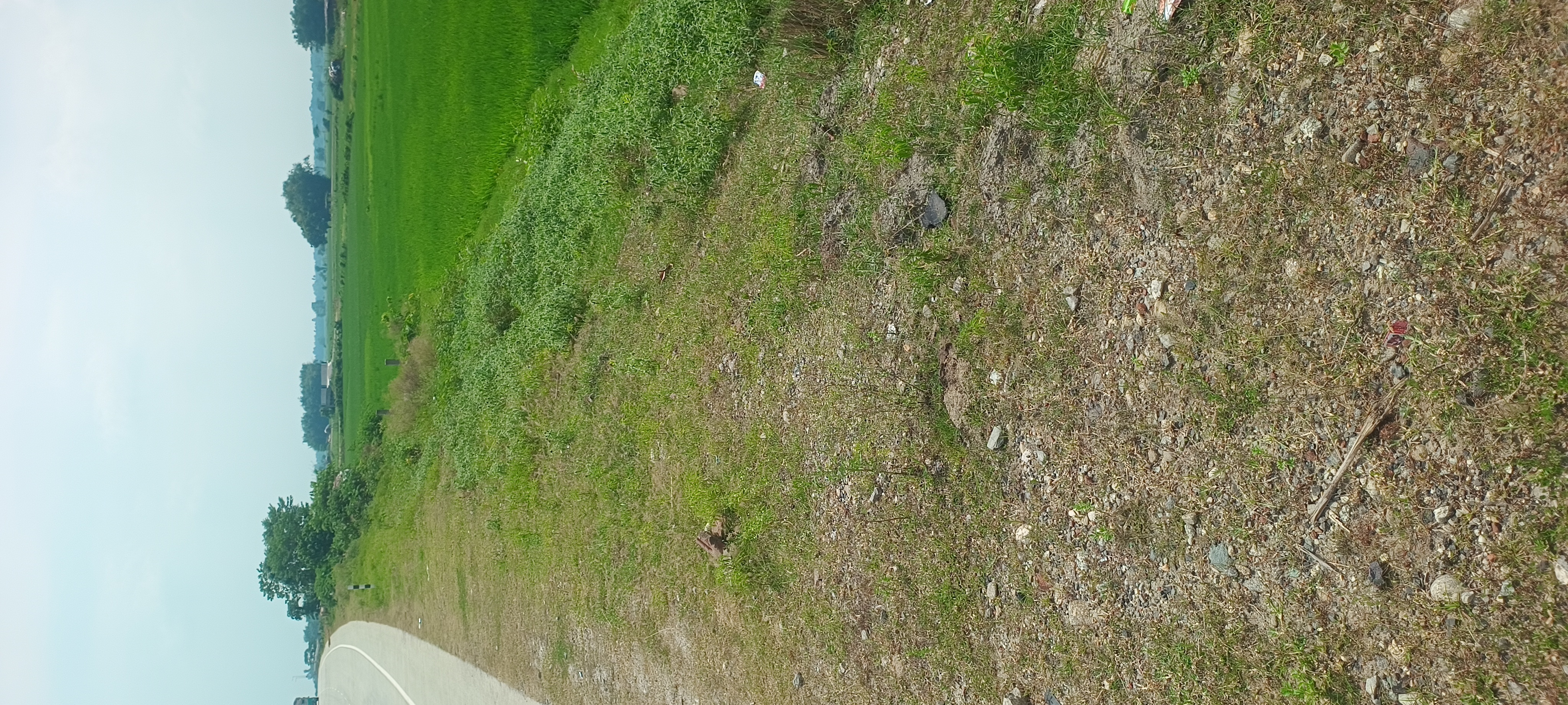 Plot Image