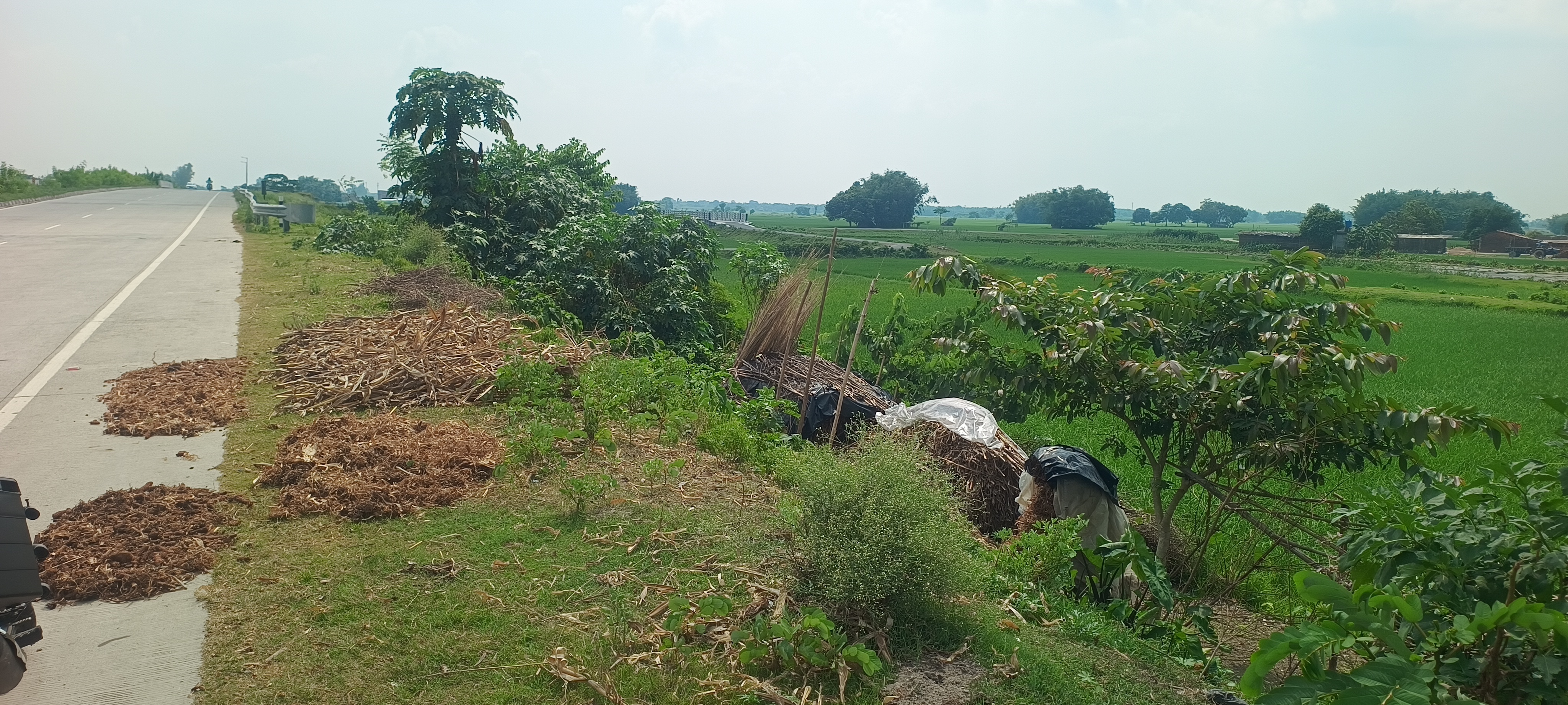 Plot Image