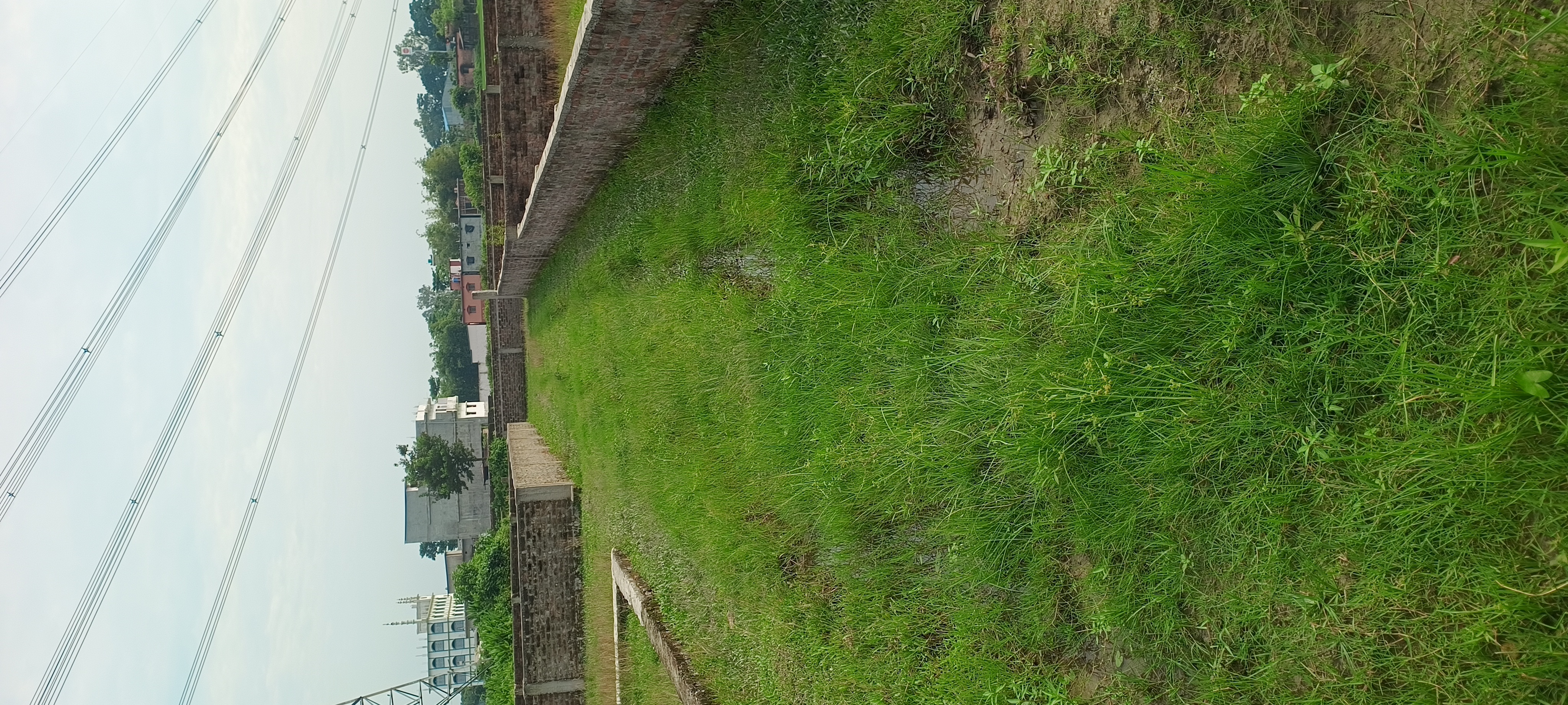Plot Image